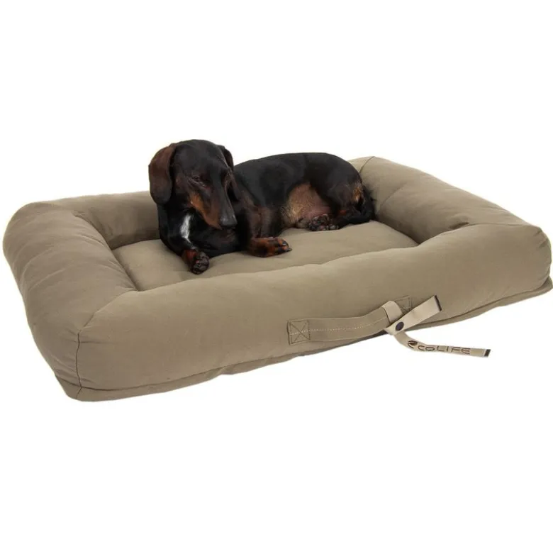 Toronto ecoLIFE Hundeseng