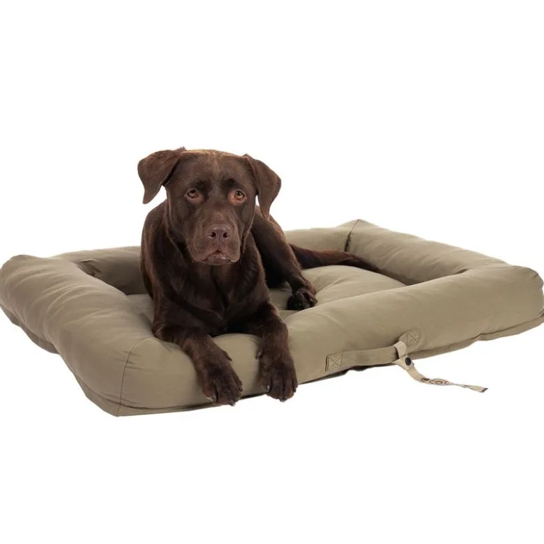 Toronto ecoLIFE Hundeseng