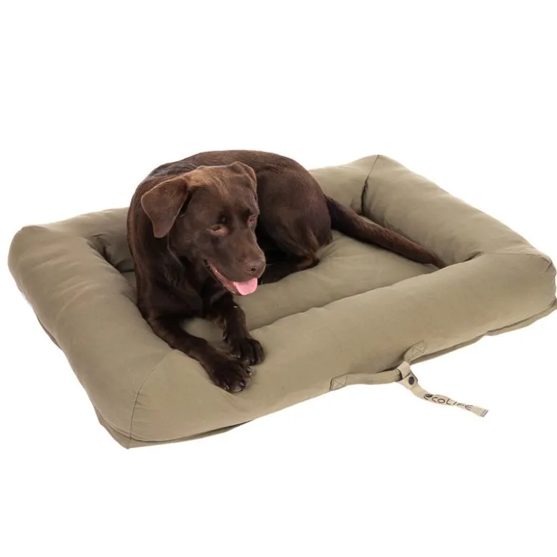 Toronto ecoLIFE Hundeseng