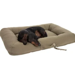 Toronto ecoLIFE Hundeseng
