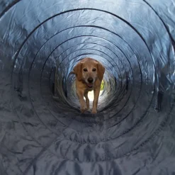 Trixie Agility Tunnel