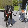 Trixie Biker-Set de Luxe