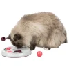 Trixie Cat Activity Flip Board