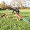 Trixie Dog Activity Agility bro