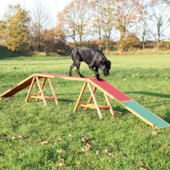 Trixie Dog Activity Agility bro