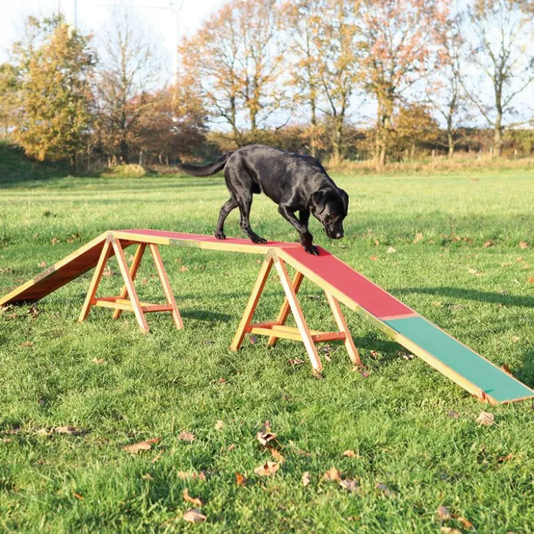 Trixie Dog Activity Agility bro