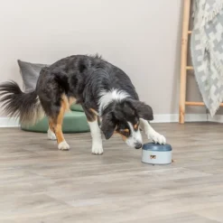 Trixie Dog Activity Buzzer strategispil