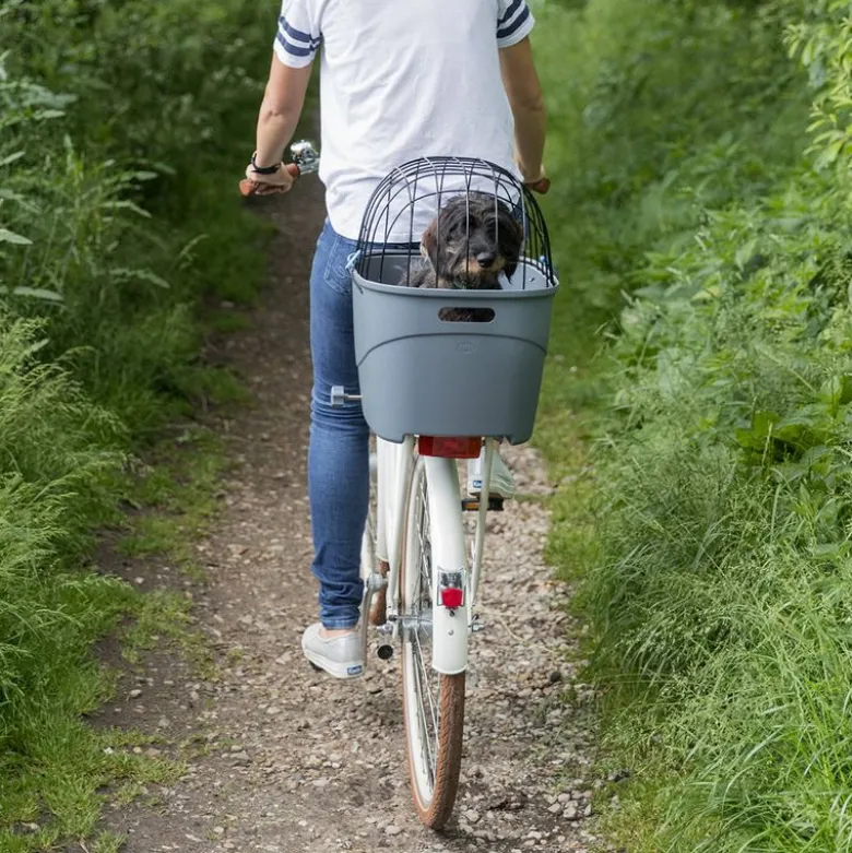 Trixie Friends on Tour Cykelkurv til bagagebærer