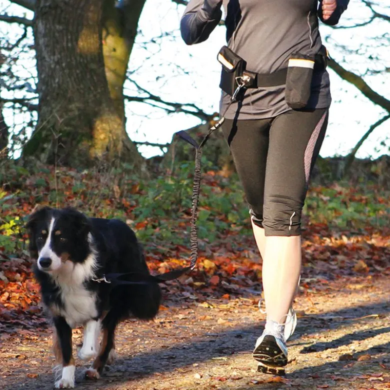 Trixie Hands Free Hundesnor / Løbebælte - sort