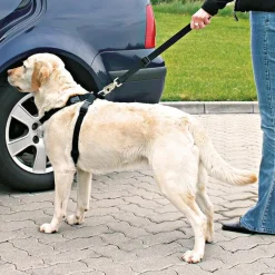 Trixie hundesele