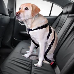 Trixie hundetæppe til bilen + Trixie hundesele