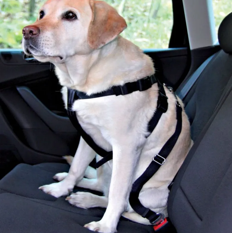 Trixie hundetæppe til bilen + Trixie hundesele
