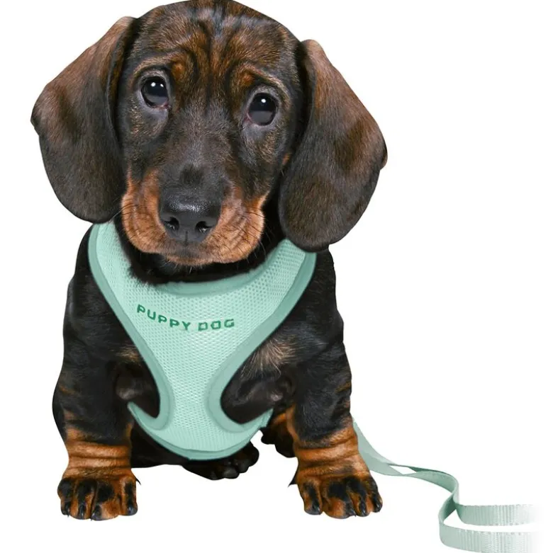 Trixie Junior Hvalpe-Softsele & Snor