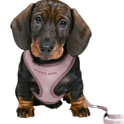 Trixie Junior Hvalpe-Softsele & Snor