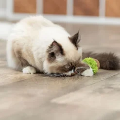 Trixie kattelegetøj Matatabi Lolli XXL