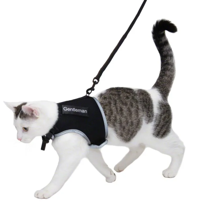 Trixie Kattesele XCat XL med Rygmærker og Snor