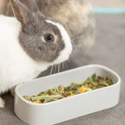 Trixie keramikskål til smådyr, oval