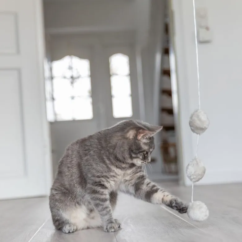 Trixie legestang med bolde og katteurt