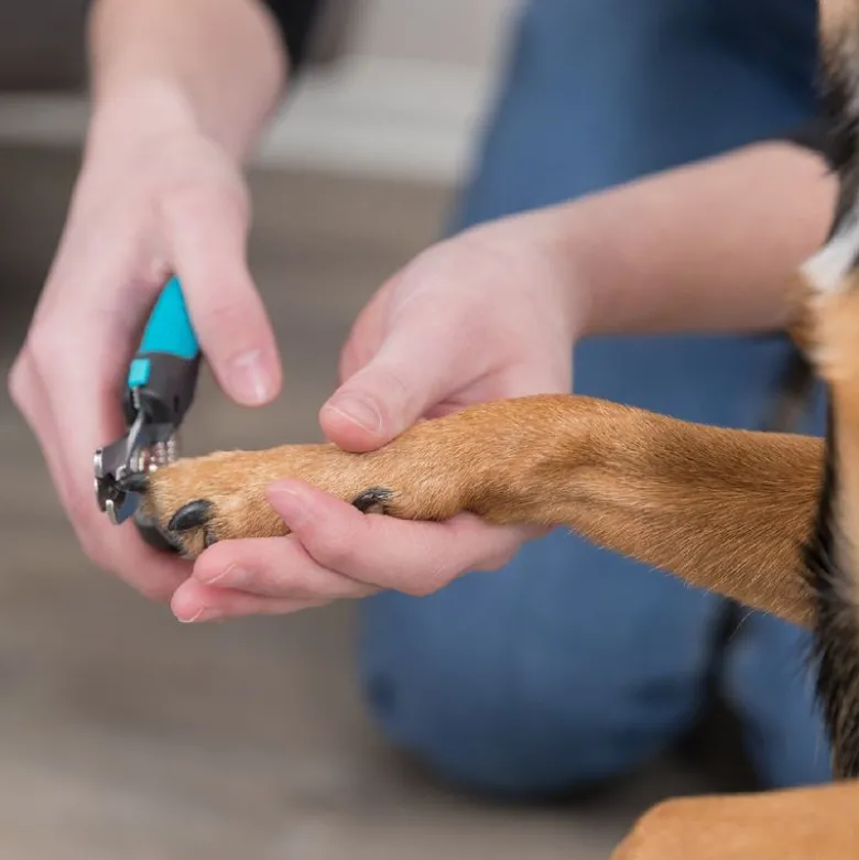 Trixie Negleklipper DeLuxe til hunde - stor