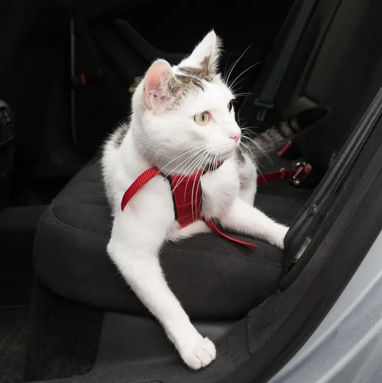 Trixie sikkerhedssele til katte