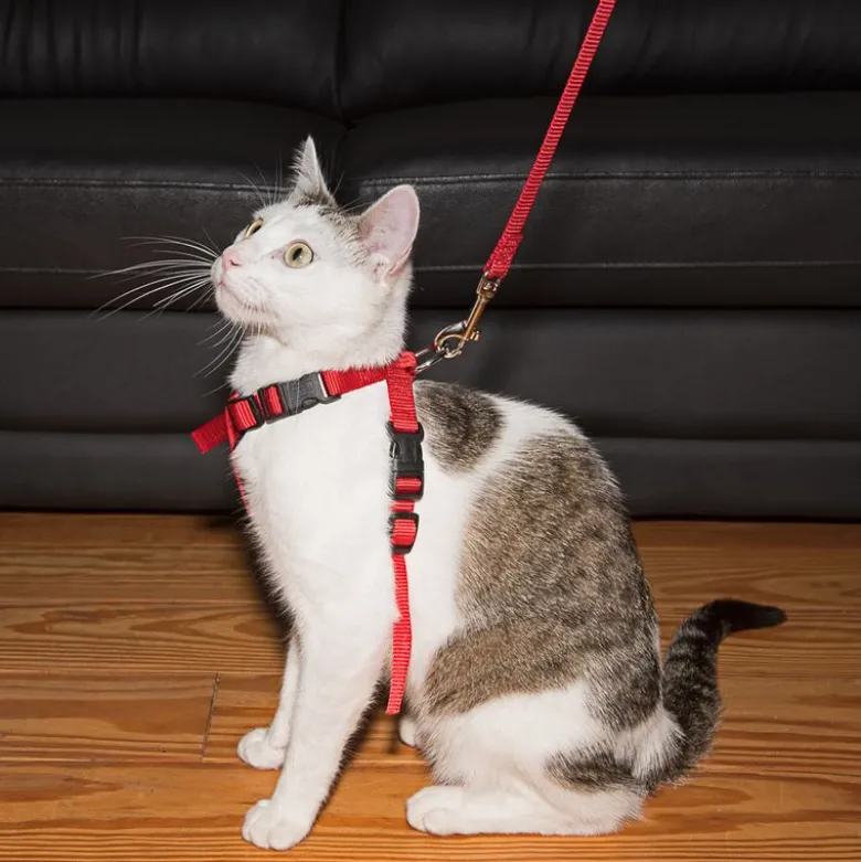 Trixie sikkerhedssele til katte