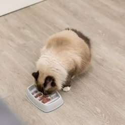 Trixie Slow Feeding Plastskål