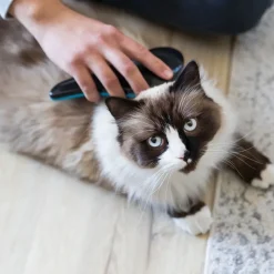 Trixie Softbørste