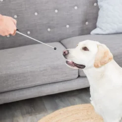 Trixie Target Stick med klikker