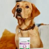 Vet's Best® Clean ørerensningspads