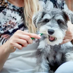 Vet's Best® Tandplejesæt Hund