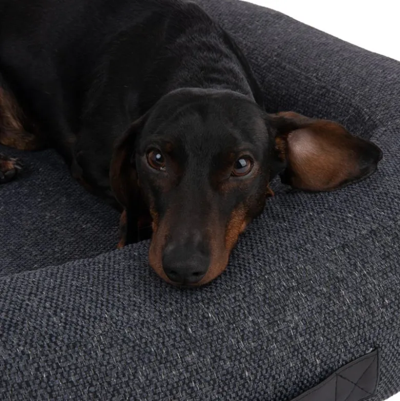 Vienna hundeseng