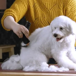 WAHL® Arco Pro klippemaskine