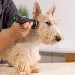 WAHL® Arco Pro klippemaskine