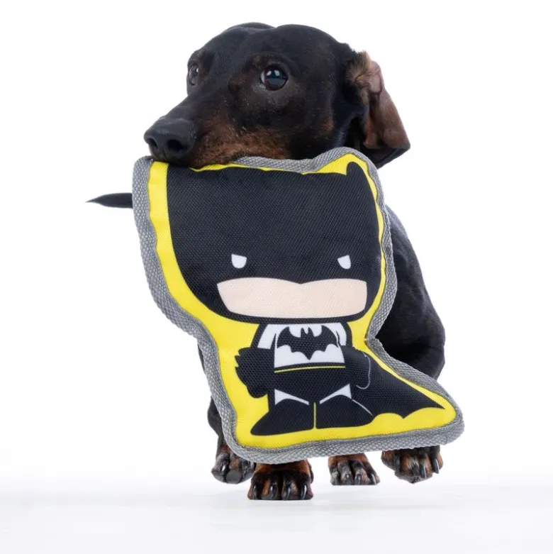 Warner Bros™ DC Batman hundelegetøj