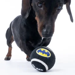 Warner Bros™ DC Batman tennisboldsæt