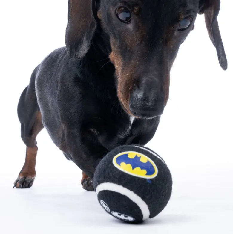 Warner Bros™ DC Batman tennisboldsæt