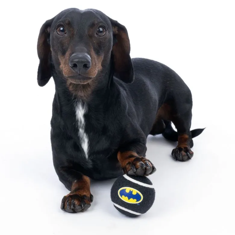 Warner Bros™ DC Batman tennisboldsæt