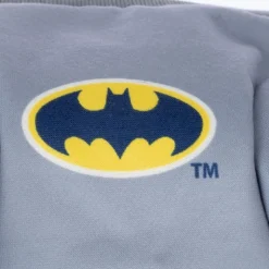 Warner Bros™ DC hundekostume Batman