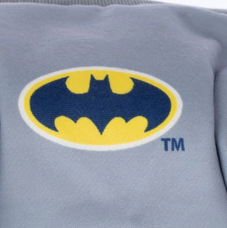 Warner Bros™ DC hundekostume Batman