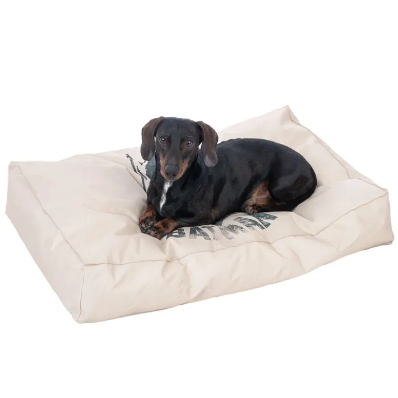 Warner Bros.™ DC Hundemadras Batman