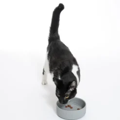 Warner Bros.™ DC Silikone Skål Batman