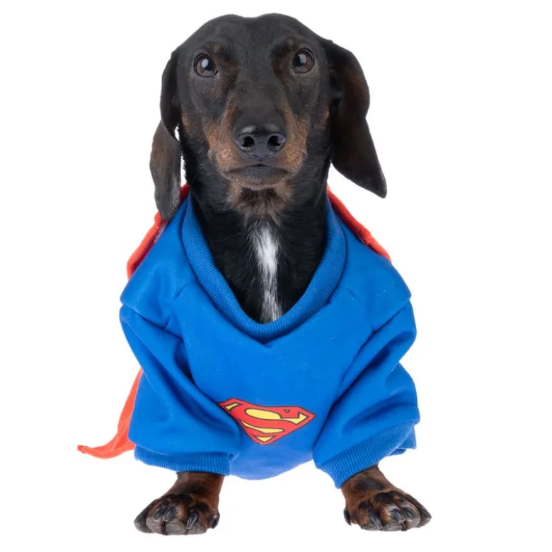 Warner Bros™ DC Superman hundekostume
