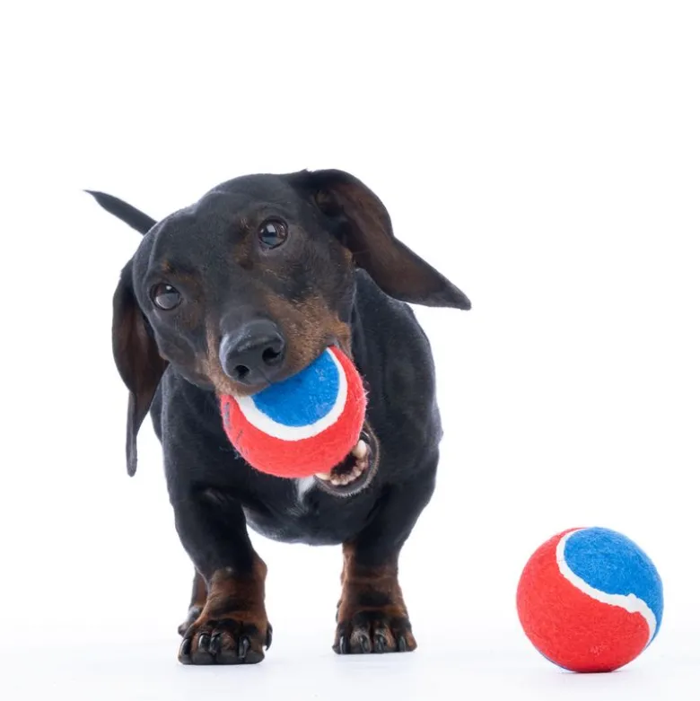 Warner Bros™ DC Superman tennisboldsæt