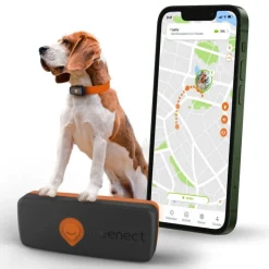 Weenect GPS-tracker XS til hunde