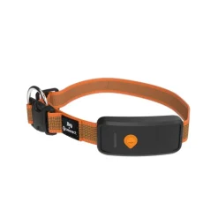 Weenect Pet GPS Tracker XT til hunde