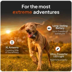 Weenect Pet GPS Tracker XT til hunde