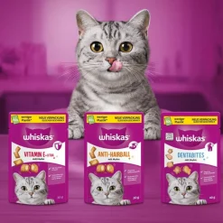Whiskas Anti-Hairball