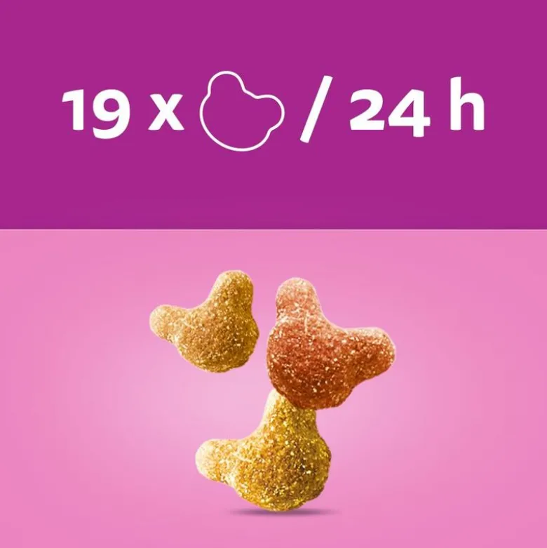 Whiskas Crunch med kylling, kalkun & and