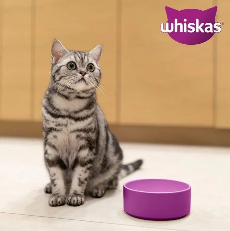 Whiskas 1+ Duo Surf & Turf Tun & Kylling