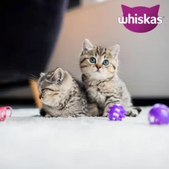 Whiskas Junior i portionspose 24 x 85 g